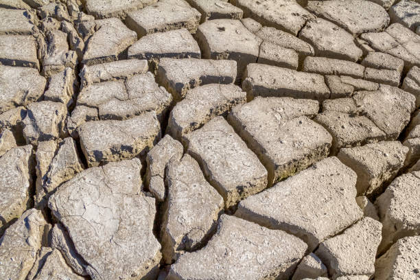 istock fissured loam detail 1270027811