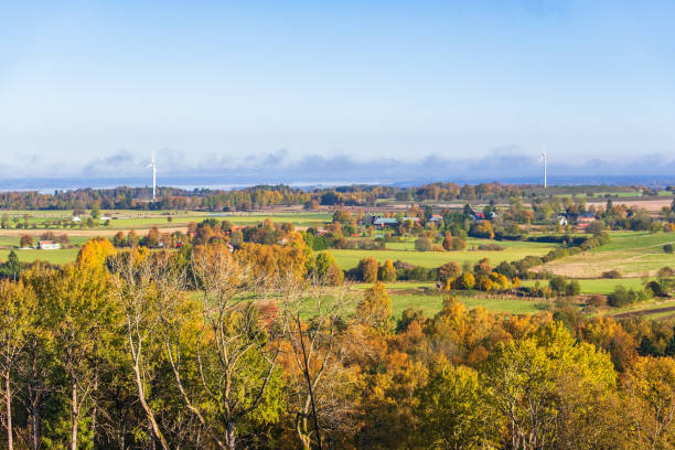istock Autumn coloured deciduous trees in a rural landscape view 1270028848