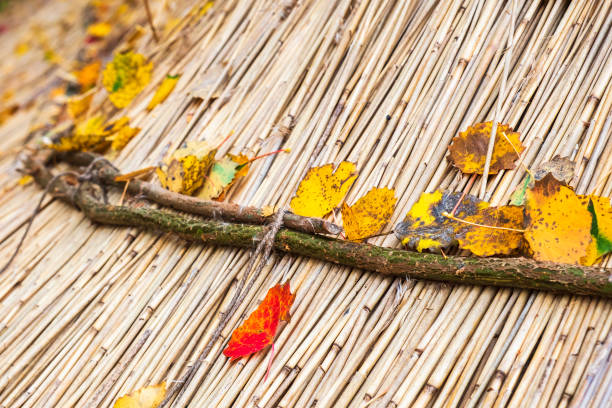 Fallen autumn leaves on a thatched roof