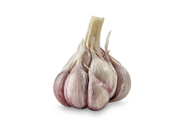 Unpeeled bulb of garlic with cloves, isolated on white background. Vegetable, spice. Close up, copy space Unpeeled bulb of garlic with cloves, isolated on white background. Vegetable, spice. Summer harvest. Close up, copy space Relish stock pictures, royalty-free photos & images