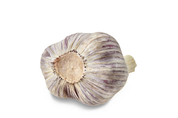 Unpeeled bulb of garlic isolated on white background. Vegetable, spice. Fresh, ripe summer harvest. Close up, copy space Unpeeled bulb of garlic isolated on white background. Vegetable, spice. Fresh, ripe summer harvest. Healthy nutrition. Close up, copy space Relish stock pictures, royalty-free photos & images