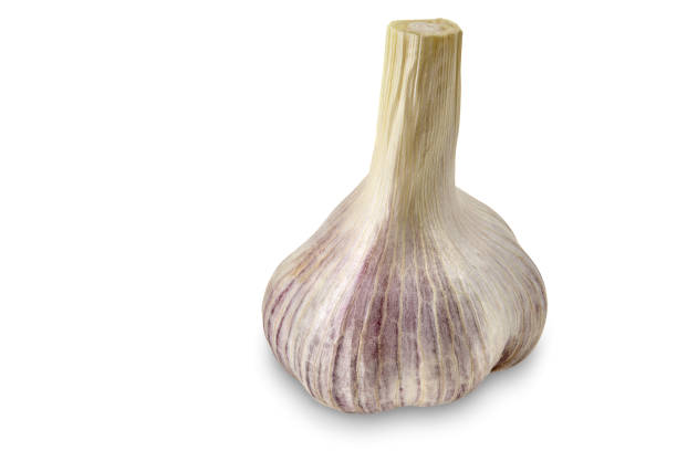 Unpeeled fresh head of garlic isolated on white background. Vegetable, spice. Ripe summer harvest. Close up, copy space Unpeeled fresh head of garlic isolated on white background. Vegetable, spice. Ripe summer harvest. Healthy nutrition. Close up, copy space Relish stock pictures, royalty-free photos & images