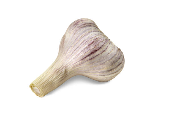 Unpeeled bulb of ripe garlic isolated on white background. Vegetable, spice. Fresh summer harvest. Close up, copy space Unpeeled bulb of ripe garlic isolated on white background. Vegetable, spice. Fresh summer harvest. Healthy nutrition. Close up, copy space Relish stock pictures, royalty-free photos & images
