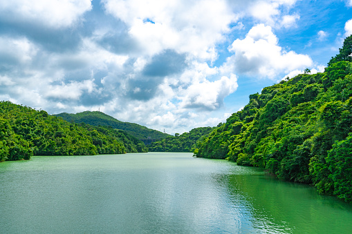 Reservoir at Kam Shan country park, Hong Kong