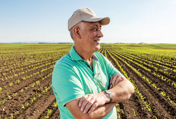 istock Portrait of smiling senior farmer standing in corn field. 1270038245