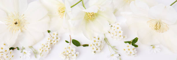 istock Festive flower composition on the white background. Overhead view 1270042882