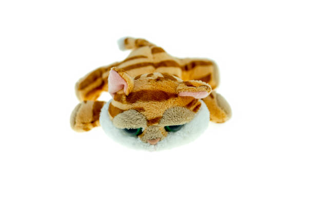 istock A cute dog doll isolated on a white background 1270043939