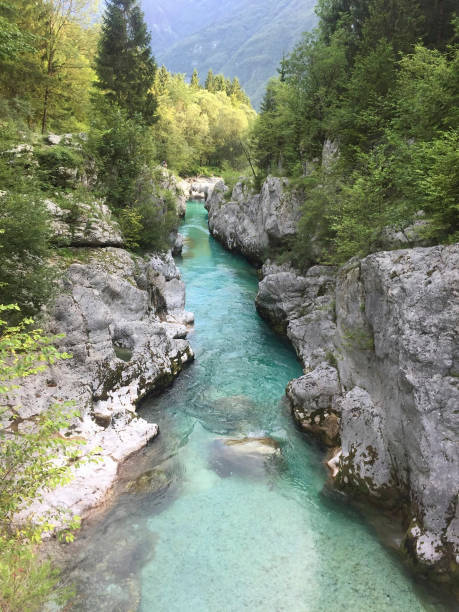 istock a wondeful river in the alps 1270047869