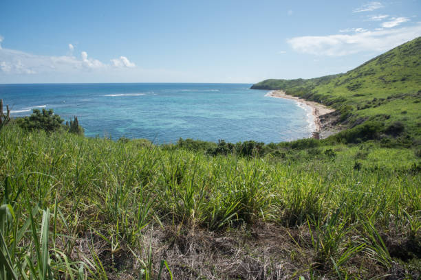 Cliffs overseeing the Atlantic Ocean in Marie Galante