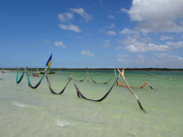 Paradise Lagoon's specialty, colorful hammocks.