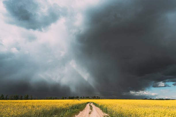 ciel de pluie dramatique avec des nuages de pluie et des rayons de soleil à l’horizon au-dessus du paysage rural camola colza champ de colais. country road. concept de prévisions agricoles et météorologiques - nature rain crop europe photos et images de collection