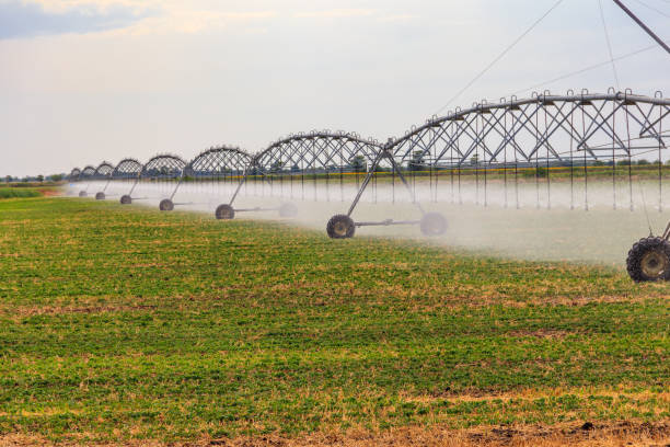 istock Large agricultural irrigation system in a field 1270053346