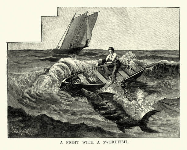 Fisherman struggling to catch a large swordfish, Victorian fishing Vintage illustration of a Henry Cheesebro a fisherman fighting a 338-pound swordfish of Stonington, Connecticut, 1893, 19th Century fishing boat sinking stock illustrations