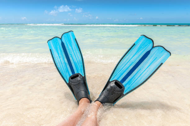 Snorkeling in turquoise sea at the Keys, Florida, USA. Snorkeling in turquoise water of the Keys, Florida.. Concept of luxury lifestyle. Active water sport. diving flippers stock pictures, royalty-free photos & images