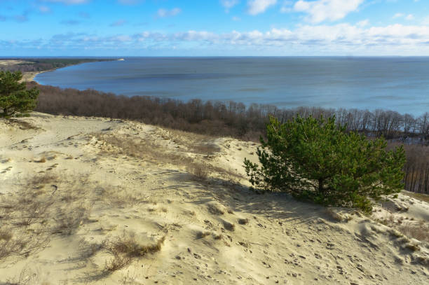 istock high dunes and pine forest, sand dune and sea, Curonian spit nature reserve 1270055394