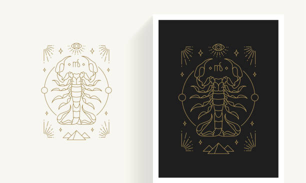 Zodiac scorpio horoscope sign line art silhouette design vector illustration Zodiac scorpio horoscope sign line art silhouette design vector illustration. Creative decorative elegant linear astrology zodiac scorpio emblem template for logo or poster decoration. star constellation tattoo stock illustrations