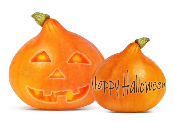 istock large pumpkin for Halloween holiday on a white background 1270058500