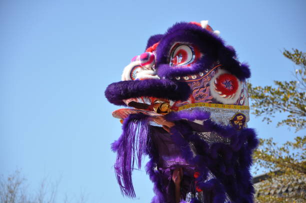 istock Traditional Chinese Lion dance costumes 1270059904