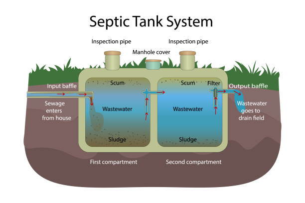 ilustraciones, imágenes clip art, dibujos animados e iconos de stock de sistema de tanques sépticos. principio de funcionamiento. tanque septic biológico. - scum