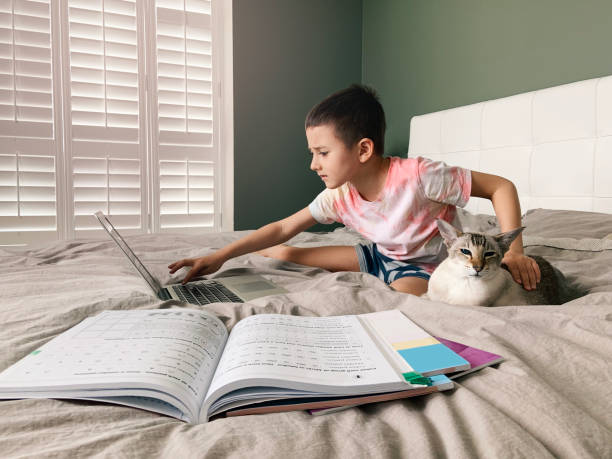 istock Boy child student with cat on bed. Kid learning online on laptop Internet. Virtual class lesson on video during self-isolation at home. Distant remote video education. A new normal homeschooling. 1270061130