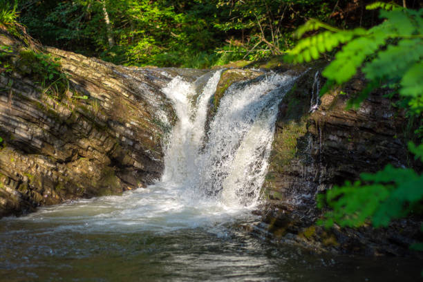 istock Small mountain waterfall in Carpathian mountains 1270063905