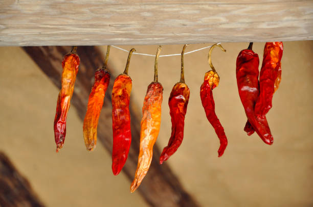 istock Spicy taste of Korea 1270064058