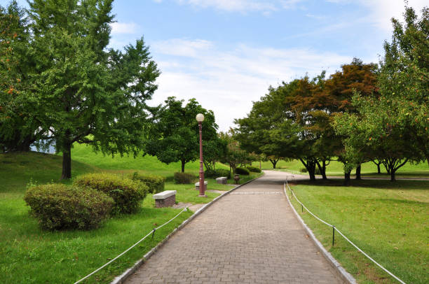 istock Scenic park in South Korea 1270064089