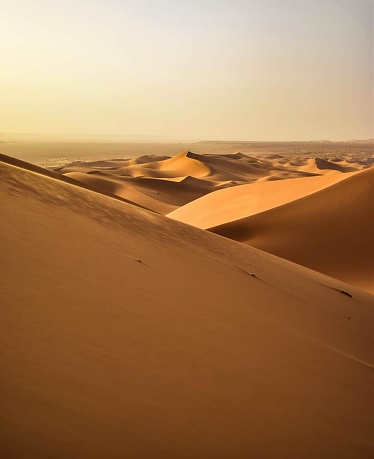 Dunes of great algerian sahara