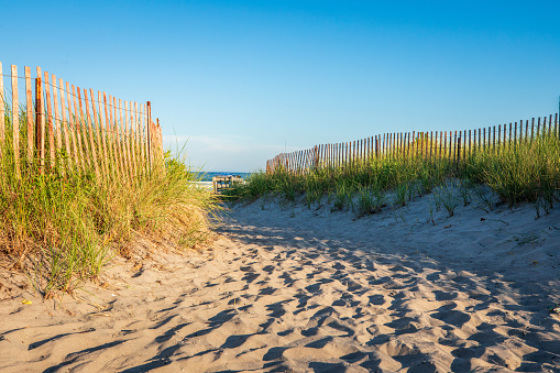Sand dunes and beach entrance