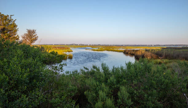 istock Sunrise over marsh land on Assateague Island 1270068860