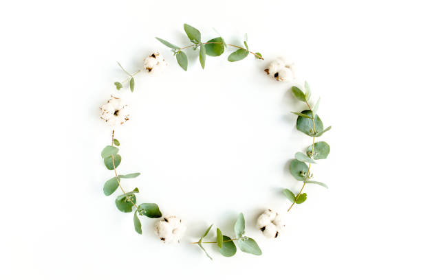 istock Wreath frame made of branches eucalyptus and cotton isolated on white background. lay flat, top view 1270069098