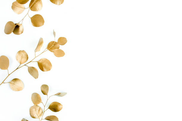istock Borders of the frame of gold branches, eucalyptus leaves on a white background. flat layout, top view 1270069176