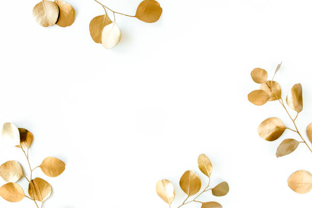 istock Borders of the frame of gold branches, eucalyptus leaves on a white background. flat layout, top view 1270071014