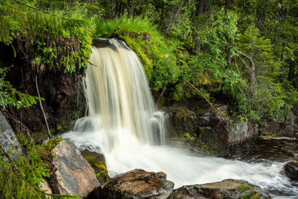 istock Small waterfall in the middle of a forest in Sweden 1270073717