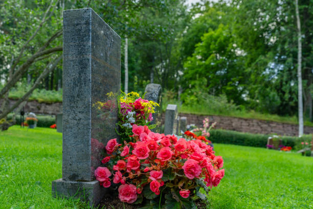 istock Row of gravestones with pink flowers 1270073874