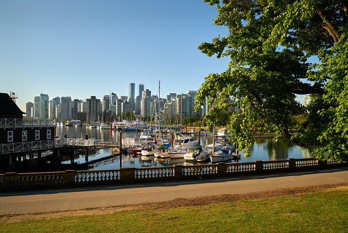 The Vancouver skyline from the Stanley Park shoreline across Coal Harbor. British Columbia, Canada.