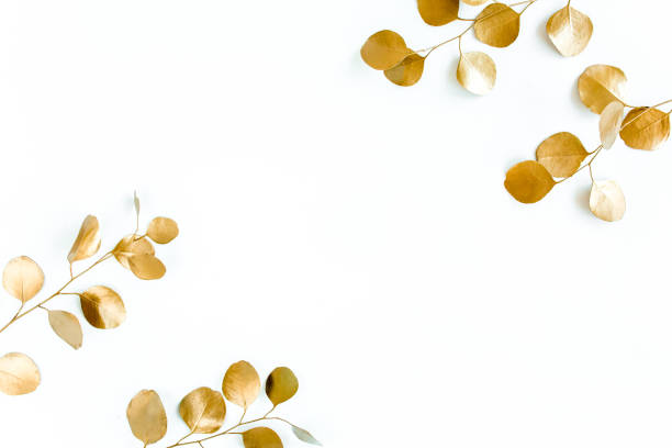 istock Borders of the frame of gold branches, eucalyptus leaves on a white background. flat layout, top view 1270076440