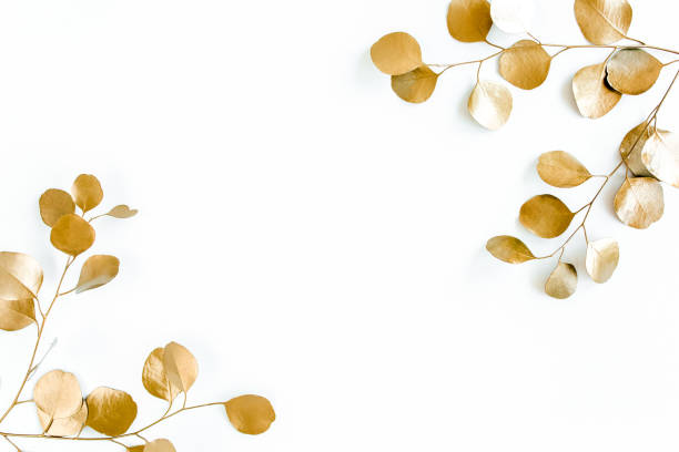 istock Borders of the frame of gold branches, eucalyptus leaves on a white background. flat layout, top view 1270076620
