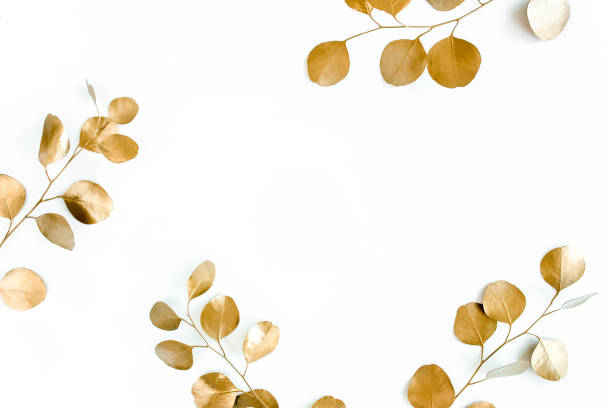 istock Borders of the frame of gold branches, eucalyptus leaves on a white background. flat layout, top view 1270079160
