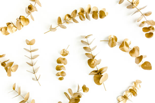 istock Pattern made of gold branches, eucalyptus leaves on a white background. flat layout, top view 1270079438