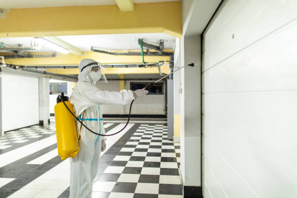 istock Disinfection - residential building 1270080139