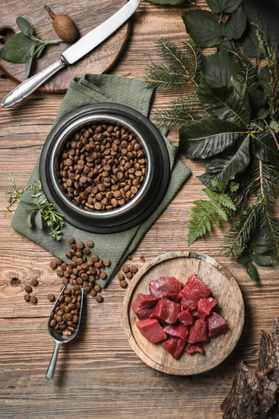 istock Fresh Dog Food with Bowl and meat 1270080976