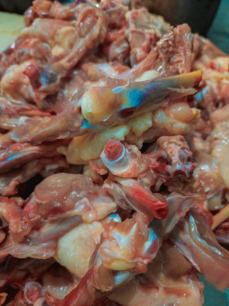 istock fresh chicken pieces for cook in srilanka 1270081997