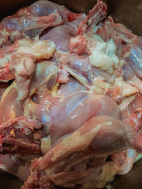 istock fresh chicken pieces for cook in srilanka-colombo 1270081998