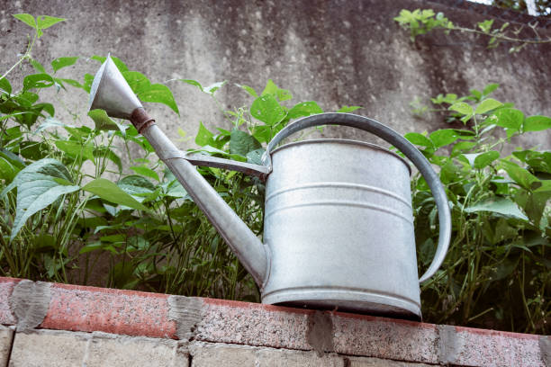 istock Grey Metal Watering Can in a garden 1270083486