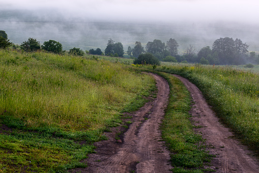 dry summer dirt road at misty morning outdoors.