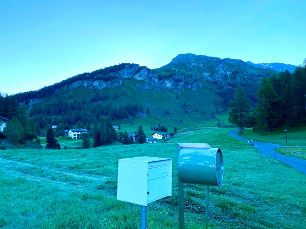 Alpen Landscape - Green Field Meadow full of spring flowers