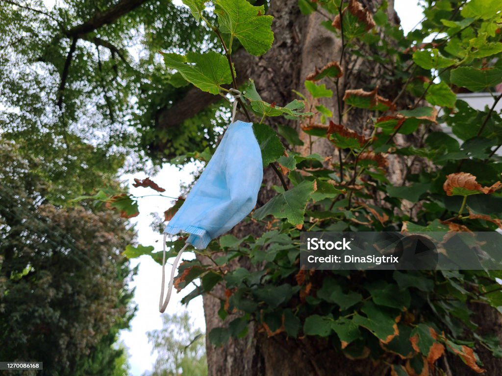 mundschutz on a tree mouth-nose protection hazardous waste COVID-19 Stock Photo