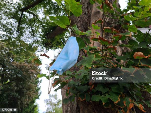 Mundschutz On A Tree Stock Photo - Download Image Now - COVID-19, Color Image, Coronavirus