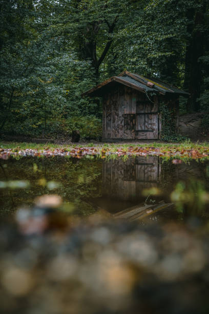 istock An abandoned hut in the woods by a rainy day. 1270087939